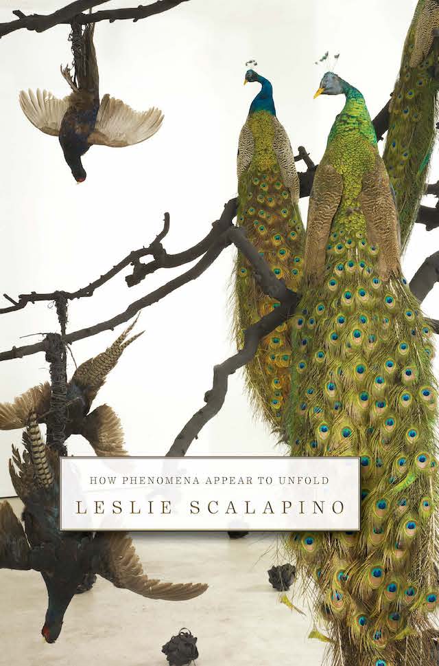 How Phenomena Appear to Unfold by Leslie Scalapino, Book cover showing intricately drawn peacocks on the right and wild turkeys to the left.