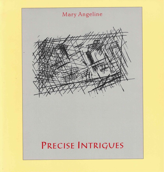 cover of precise intrigues by mary angeline; light grey background with black line doodles making a cross-hatched square