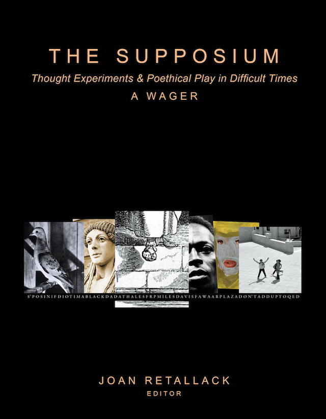 The Supposium: Thought Experiments & Poethical Play in Difficult Times, a Wager by Joan Retallack (Editor), Book Cover showing a collage of photographs, a marble sculpture, a dove, a man, a drawing of a foot, a painting of a face, a photograph of two people in a city.