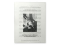 "The Supposium" Broadside, black and white image of a pigeon with blurred text in the background