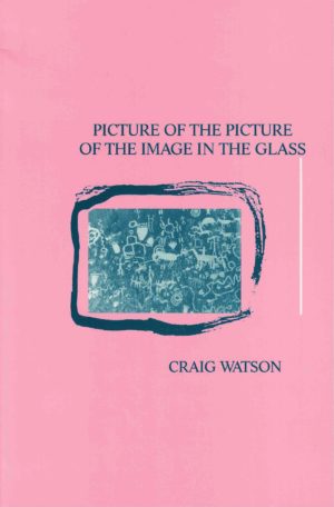 cover of Picture of the Picture by Craig Watson, light pink background with smal rectangle image at center of cave drawings with teal tint