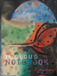An abstract painting with a blue egg like shape rising in the upper right below which we see an orange red flower like shape above blacks and greens everything is covered in multicolor dots the title of the book the cloud notebook and the author name ada smailbegovic appear in the lower third of the painting